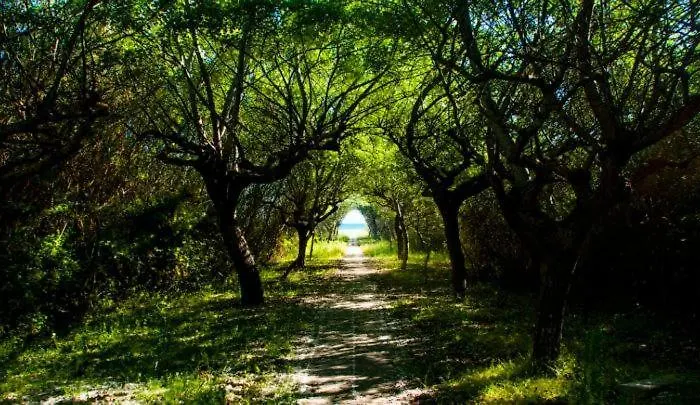 Lejlighed Casa Mare Ludovica